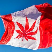 El negocio de la legalización del cannabis, el caso de Canadá 
