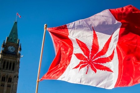El negocio de la legalización del cannabis, el caso de Canadá 