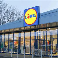 Hoy llega a Lidl este árbol de Navidad natural por menos de 13 euros: de pequeño tamaño y fácil de cuidar