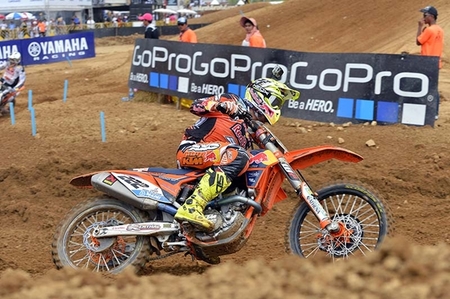 cairoli