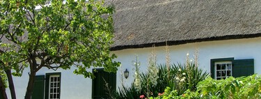 El casero entra en el jardín de mi casa a coger fruta de los árboles: qué puedo hacer según la ley 
