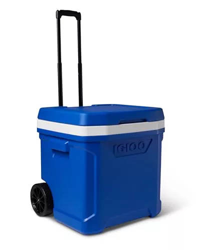 IGLOO Blue Profile II 60 Rodillo