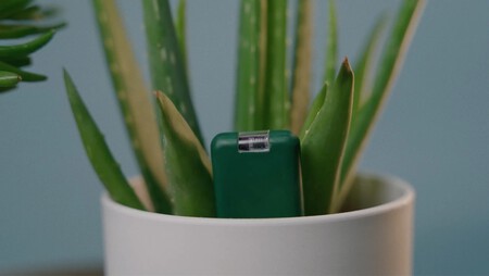 Sensor Plantas Cuartas