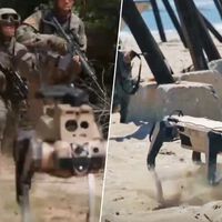 Cuando creíamos haber visto todo tipo de ensayos para una invasión, China hace ciencia ficción: robots tomando una isla