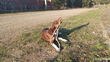 Ares Portada