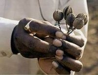 Biodiesel a partir de la jatrofa