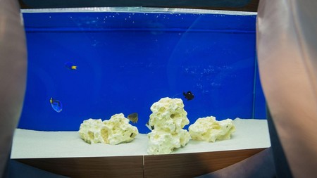 Frangivento Charlotte Roadster 15