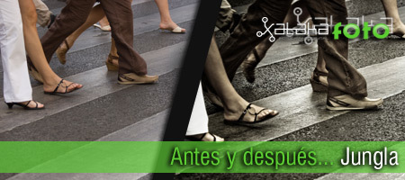 Antes y después... Jungla