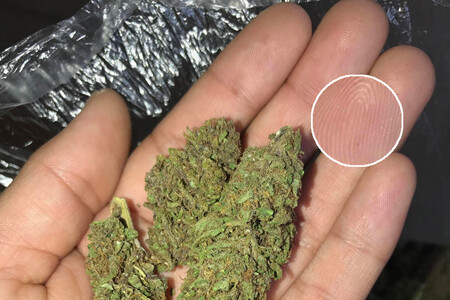 La 'dark web' no fue suficiente para este traficante: una foto con marihuana en sus manos rompió su anonimato