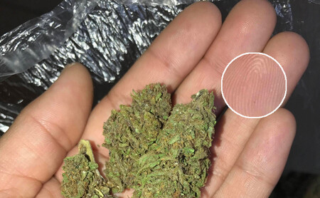 La 'dark web' no fue suficiente para este traficante: una foto con marihuana en sus manos rompió su anonimato