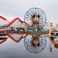 El día que una atracción de Disney cerró con dos hermanos dentro: solo uno logró salir con vida 