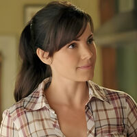 Tuvieron que pasar 1,699 días, pero por fin llegaron a Netflix las 10 temporadas de la serie más legendaria de DC