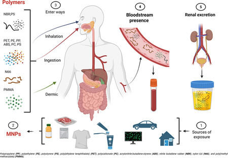 Microplasticos