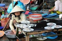 Vietnam: el mercado central de Hoi An