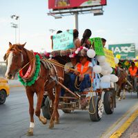 En Torreón todavía había quienes transportaban basura y escombro en carretas con burros y caballos. Ahora usarán vehículos con motor 