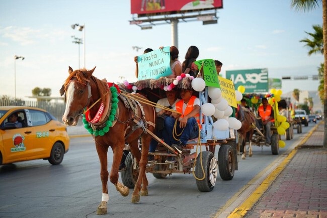 Torreon Coahuila Caballos Carretas Transporte Mexico