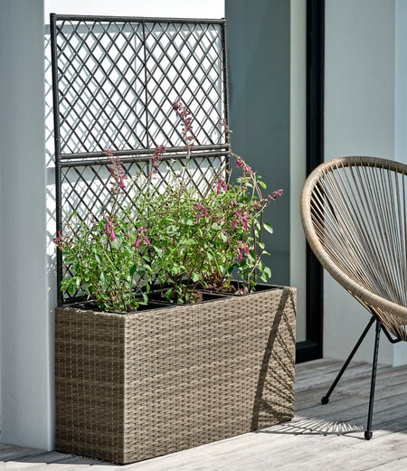 Jardinera Trana