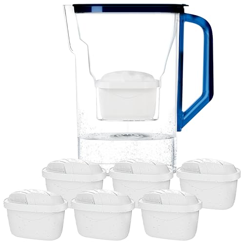 Wessper Jarra con filtro 2,7 litros con 6 filtros