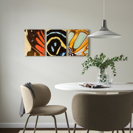 Pjatteryd Cuadro Alas Mariposa 1314652 Pe940177 S5