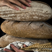 Tuve que volver a comer gluten tras el SIBO: no por gusto, sino porque el intestino tiene memoria