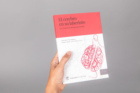 Libros que nos inspiran: 'El cerebro en su laberinto' de María José Mas Salguero