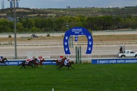 Nos vamos al Hipódromo de la Zarzuela para descubrir el espectáculo de las carreras de caballos