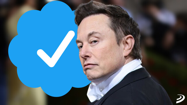 Twitter Musk Verificados Steam Nintendo