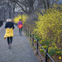 La ciencia tiene un consejo universal para quemar calorías caminando: no se trata de no descansar, sino de lo contrario 