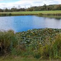 Gran Bretaña tiene un estanque que guarda una nostalgia noventera especial. Allí se rodó una de las series infantiles más populares de la historia