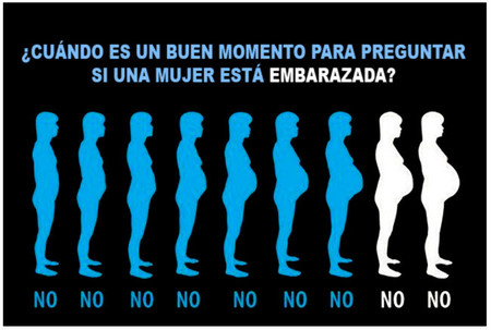 Embarazada o gorda2
