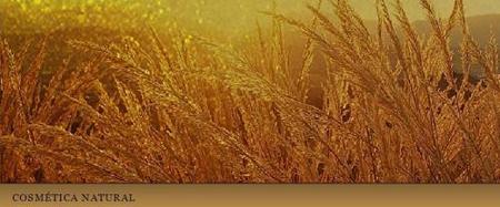Existe cosmética Bio, cosmética Eco y la Natural