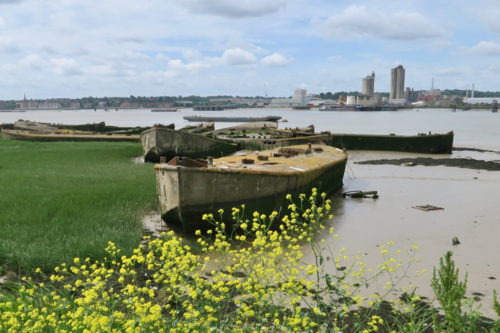 Barco Hormigon