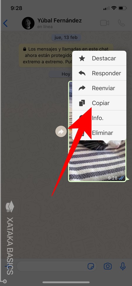 Cómo crear tus propios GIFs con WhatsApp y usarlos fácilmente en