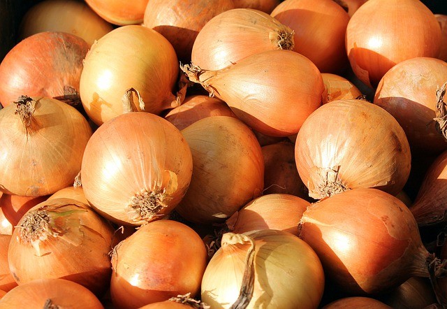Cebolla Amarilla