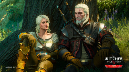 the witcher 3