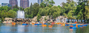 Aplica el plan romántico de San Valentín paseando en una lancha o cisne en Chapultepec: esta es la entrada secreta para evitar filas