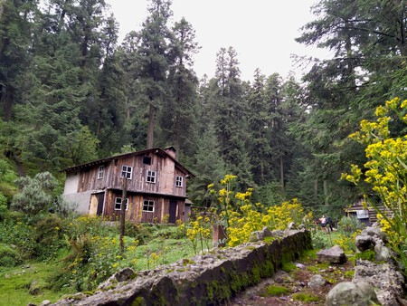 Date una escapada a la naturaleza: descubre unas cabañas, comida deliciosa y una cascada a solo 1 hora de CDMX