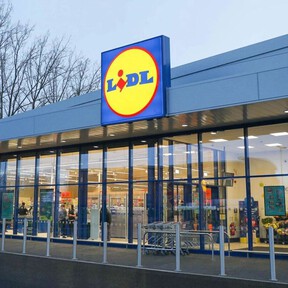 La planta de origen africano, que Lidl vende este viernes con decoración de Halloween: es perenne y decorará cualquier rincón de la casa