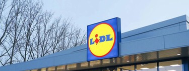 La planta de origen africano, que Lidl vende este viernes con decoración de Halloween: es perenne y decorará cualquier rincón de la casa