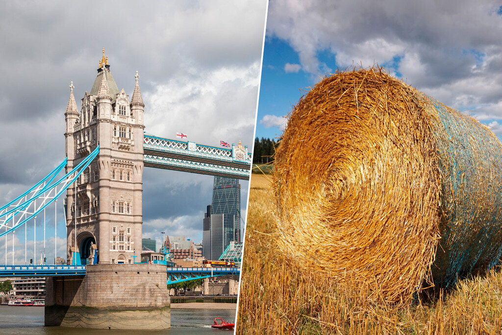 Hay fardos de paja colgando de los puentes del Támesis. No es casual, es un sistema de seguridad de hace siglos