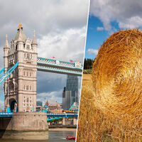 Hay fardos de paja colgando de los puentes del Támesis. No es casual, es un sistema de seguridad de hace siglos 
