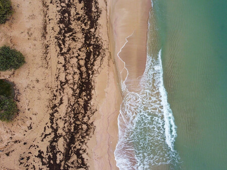 Playas Sargazo
