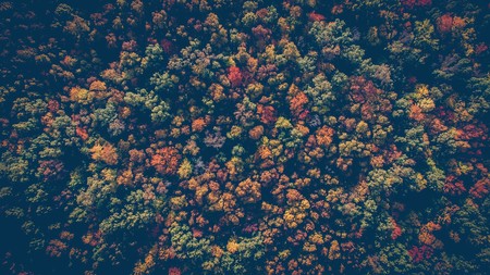 Drone 365 Project Martin Sanchez 09