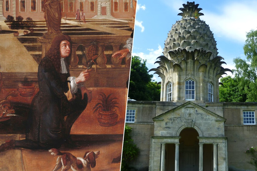 Colón introdujo la piña en Europa en 1496. 200 años más tarde los ingleses se volvieron locos