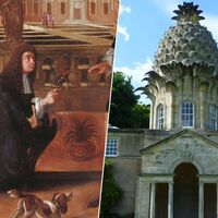 En el siglo XVII los europeos perdieron tanto la cabeza por las piñas que surgió un negocio: alquilarlas