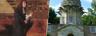 En el siglo XVII los europeos perdieron tanto la cabeza por las piñas que surgió un negocio: alquilarlas