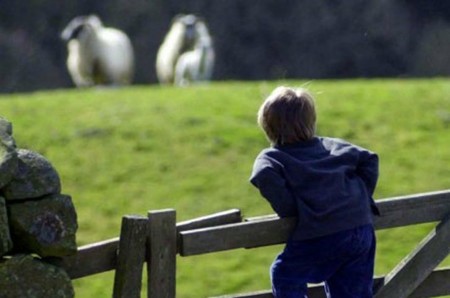 Propuestas para cambiar la Educación: aprendizaje de verano