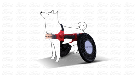 Ford Dia Del Perro 3 4 Blanco