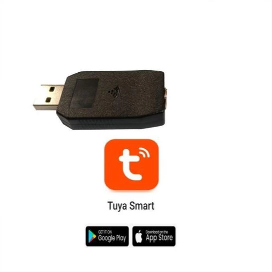 Modulo wifi EIDER BIOMASA para estufa de pellet
