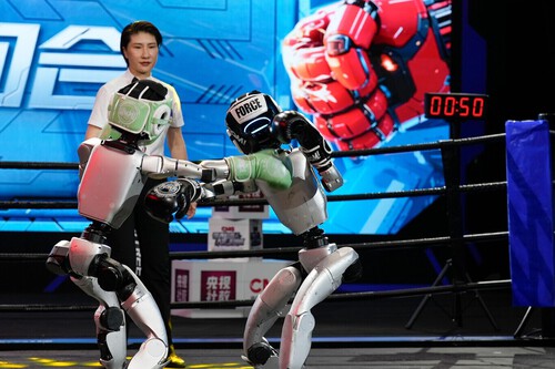 Humanoid robots during a kickboxing match
